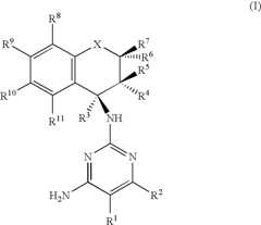 Figure US08329717-20121211-C00002