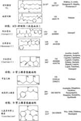 Figure A20068004619500571