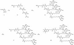 Figure JPOXMLDOC01-appb-C000056