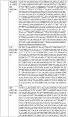 Figure BDA0004033970230005501