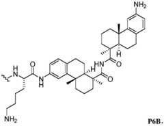 Figure BDA0002889616220000571