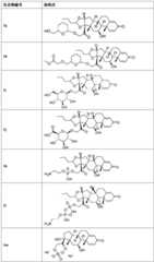 Figure BDA0002889616220000691