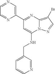 Figure US07119200-20061010-C01379