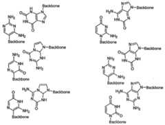 Figure imgf000034_0002