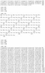 Figure IDA00002091897103361