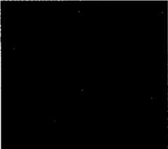 Figure imgf000079_0004