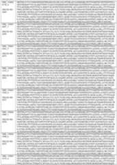 Figure imgf000141_0001