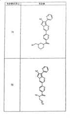 Figure G05845025220070629D000691