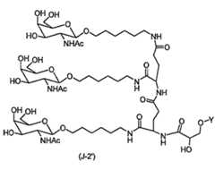 Figure 110128808-A0202-12-0095-439