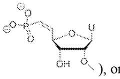 Figure imgf000086_0003