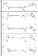 Figure BDA0002889616220001421