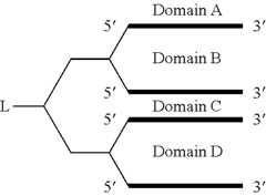 Figure US08877722-20141104-C00055