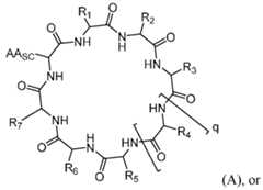 Figure imgf000009_0001