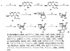 Figure JPOXMLDOC01-appb-C000079