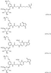 Figure imgf000211_0001