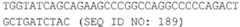 Figure imgb0358