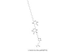 Figure 0007704732000006