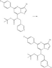 Figure US07119200-20061010-C01557