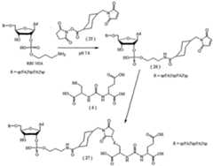 Figure imgf000136_0001