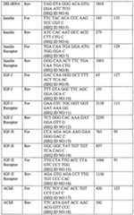 Figure imgf000032_0001