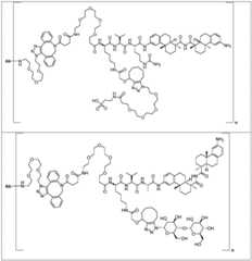 Figure FDA0002889616210000491