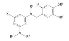 Figure imgf000029_0002