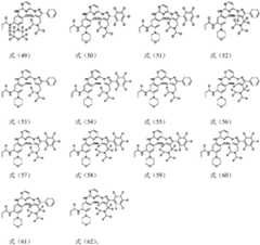 Figure GDA0002653239980000141