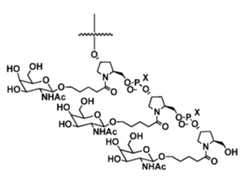 Figure imgf000070_0001