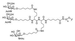 Figure 2023012548000337