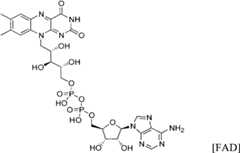 Figure GSA00000065343300021