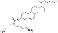 Figure imgf000018_0001