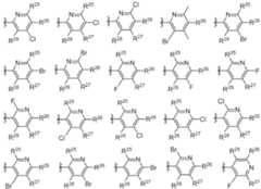 Figure imgf000176_0002