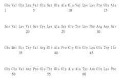 Figure 105135184-A0305-02-0200-132