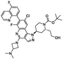 Figure BDA0003993773060002262