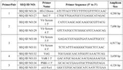 Figure imgf000062_0001