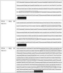 Figure BDA0001929574060000111