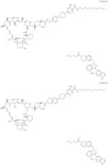 Figure US11364300-20220621-C00243