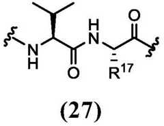 Figure FDA0003131611260000031