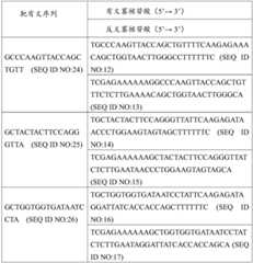 Figure BDA0003450561190000361