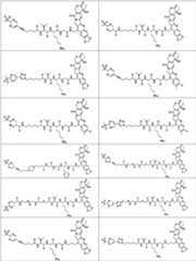 Figure PCTCN2022073822-appb-100172