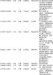 Figure BPA00001280678302131