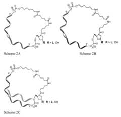 Figure imgf000105_0001