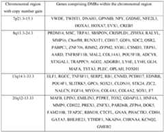 Figure imgf000088_0001