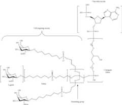 Figure US10683499-20200616-C00106