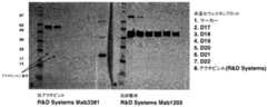 Figure 2011526784