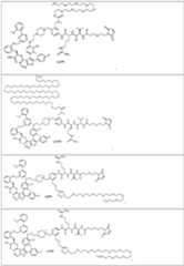 Figure imgf000055_0001