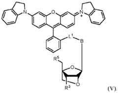 Figure imgf000063_0001