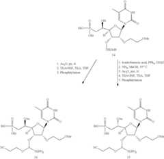 Figure US11268094-20220308-C00036