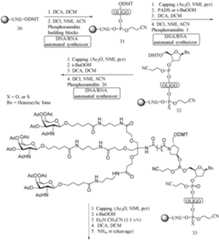 Figure imgf000520_0001