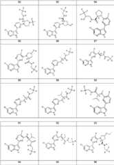 Figure FDA0000106649170000161